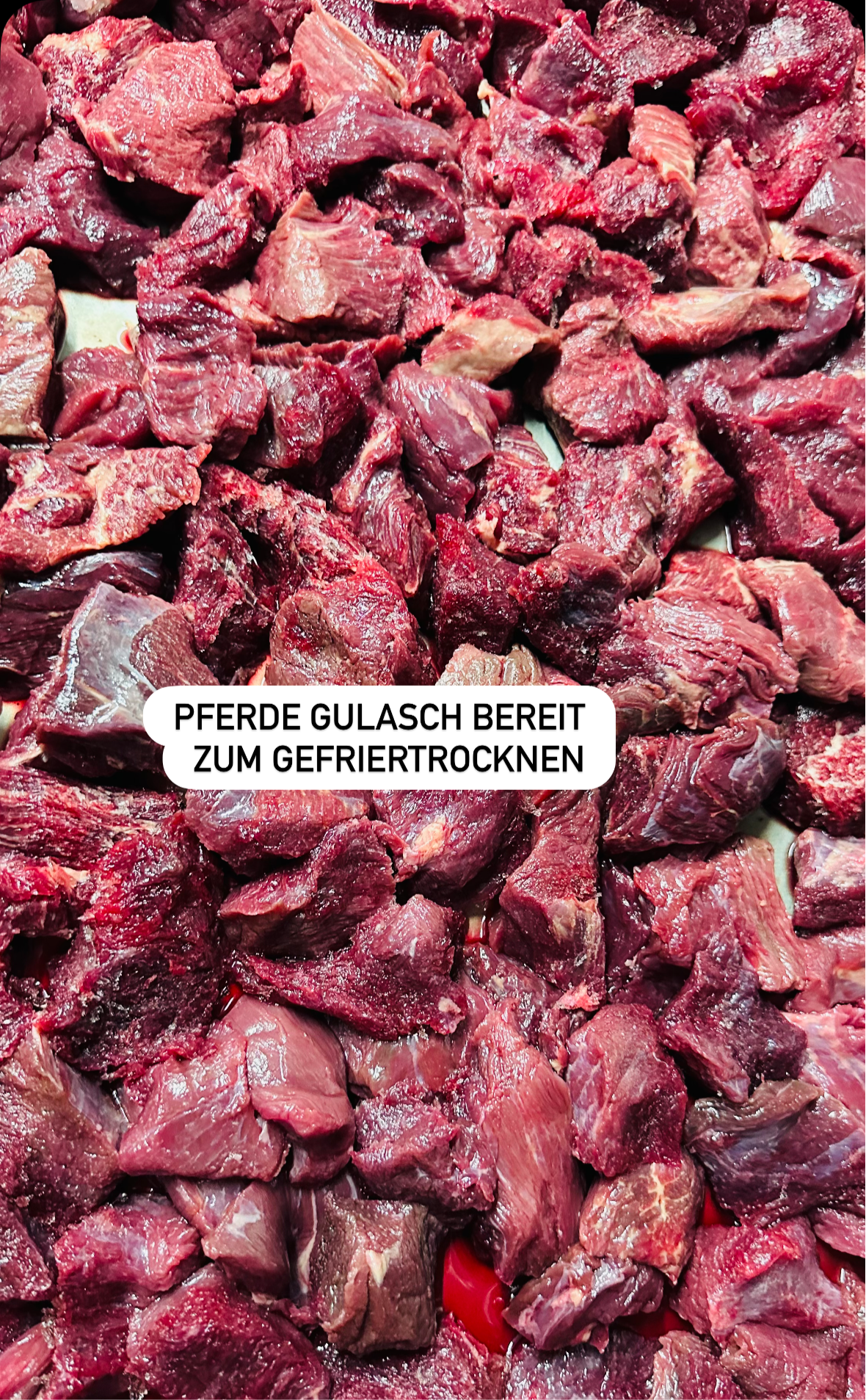 Gefriergetrocknetes Pferde Gulasch