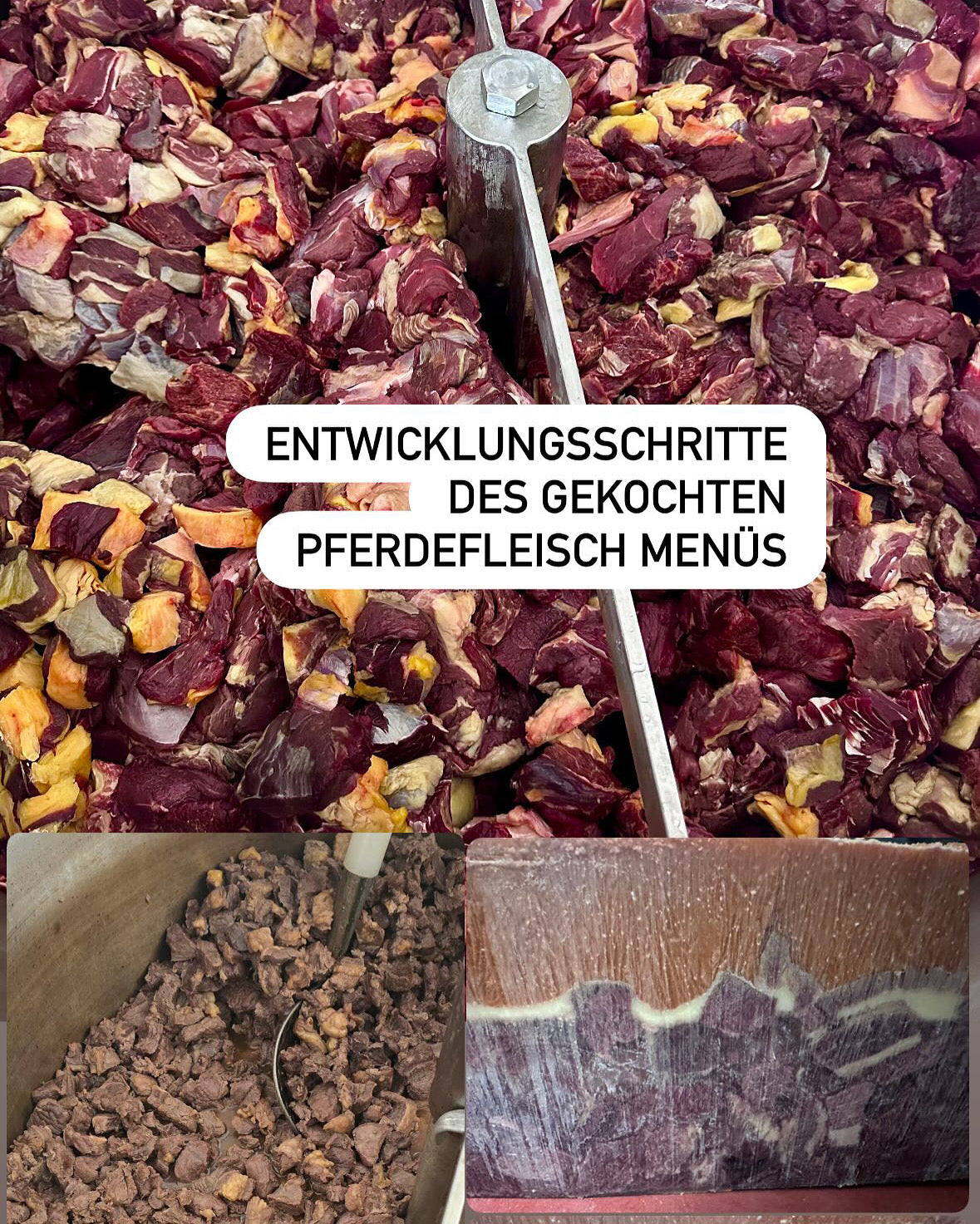 Gekochtes Pferdefleisch mit Gemüse/Obst